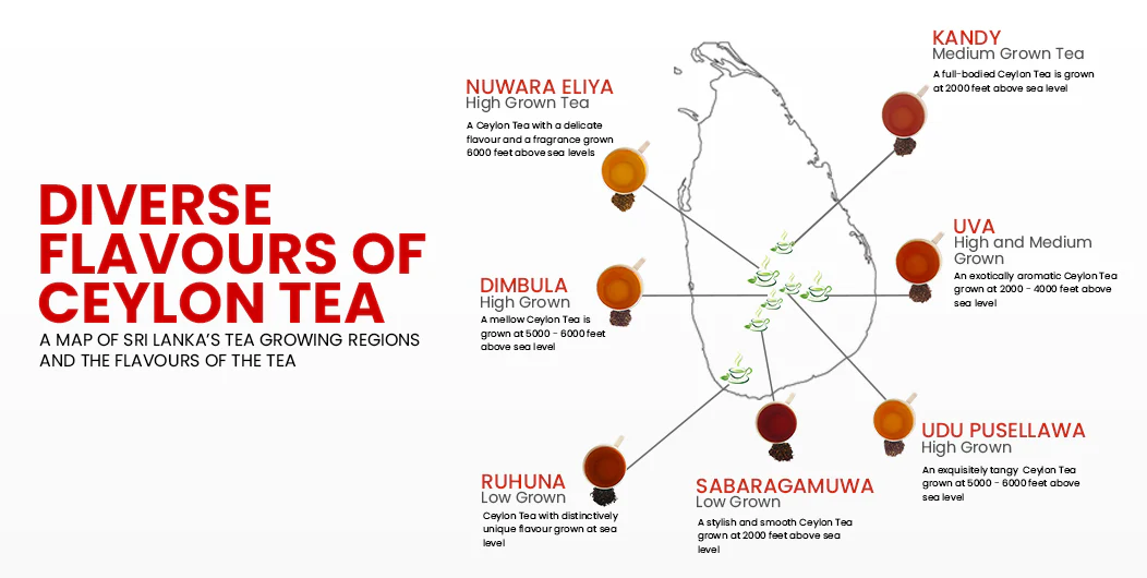 Regional Management Visual
